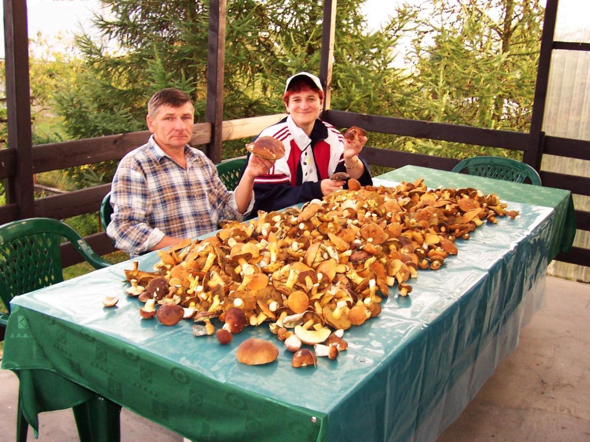 Biebrza24 - Agroturystyka Sztabin Экстерьер фото