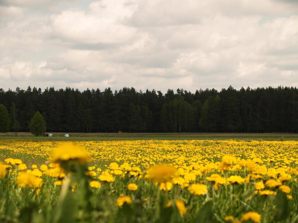 Biebrza24 - Agroturystyka Sztabin Экстерьер фото