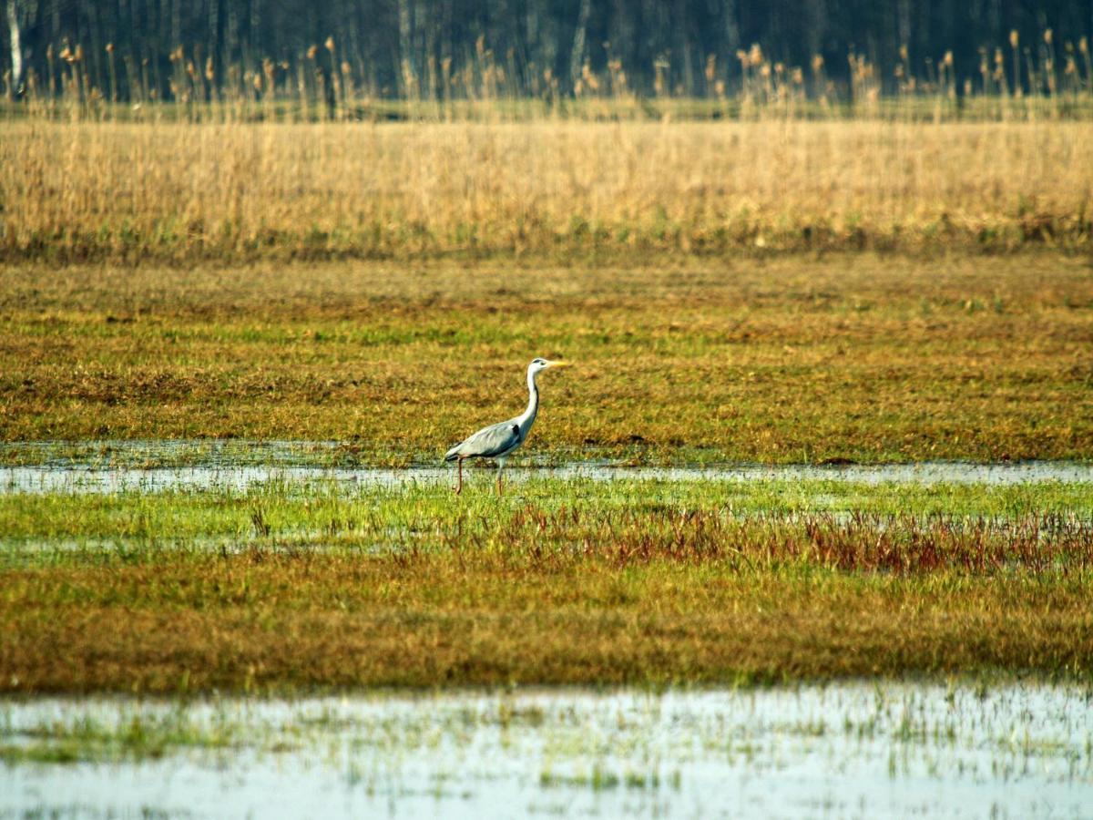 Biebrza24 - Agroturystyka Sztabin Экстерьер фото