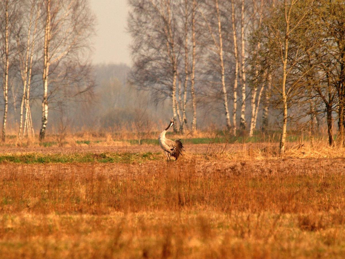 Biebrza24 - Agroturystyka Sztabin Экстерьер фото